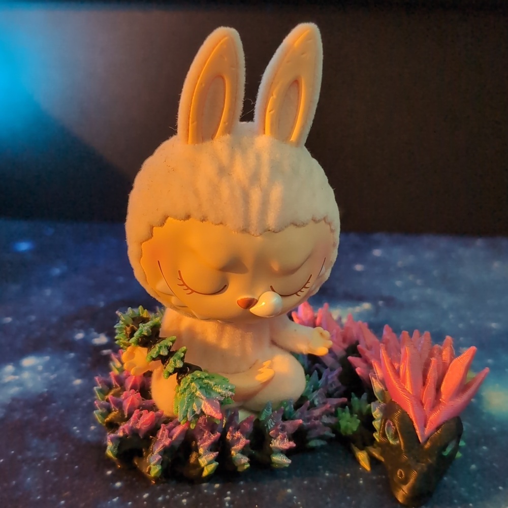 MAKE OFFERS! 🤗🌺🦝🐸🐉